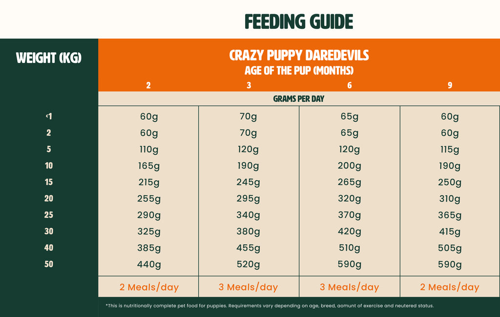 Gutsy dog food kibbles feeding guide