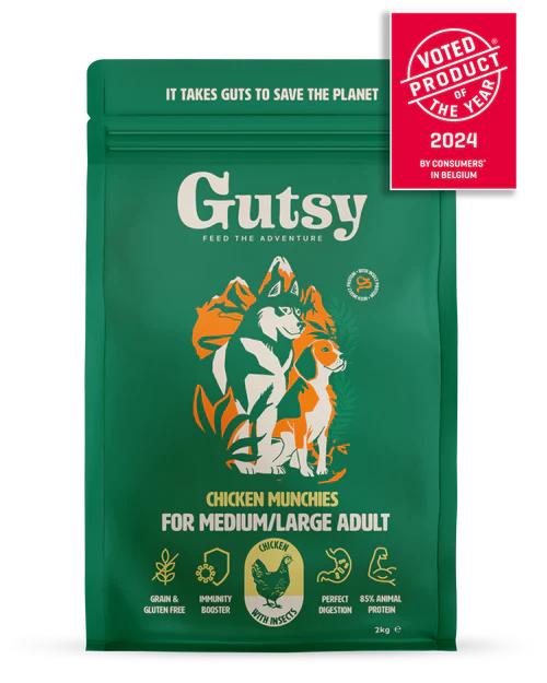 Gutsy chicken munchies conscious dog kibbles for medium large adult