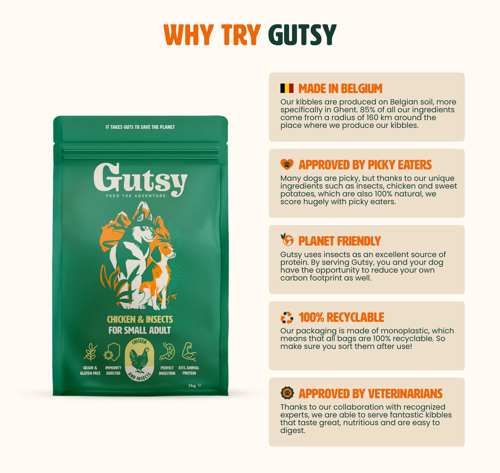 Gutsy chicken munchies conscious dog kibbles highlight