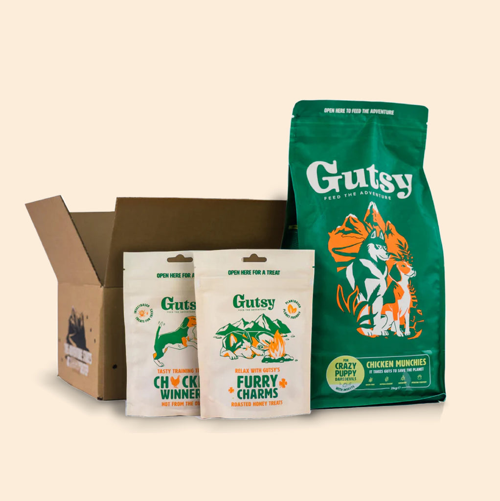 Gutsy dog food sample box